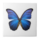 Radiant Blue Butterfly Tegeltje (Voorkant)