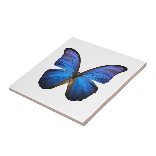 Radiant Blue Butterfly Tegeltje (Zijkant)