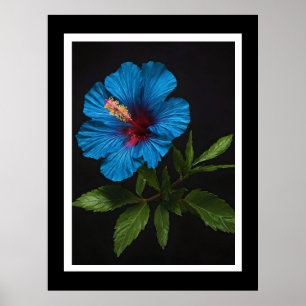 Radiant Blue: Hibiscus tegen bloem op zwart Poster