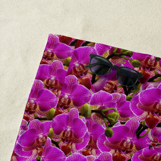 Radiant Clusters: de Magenta Orchid Symphony, Strandlaken (In situ)