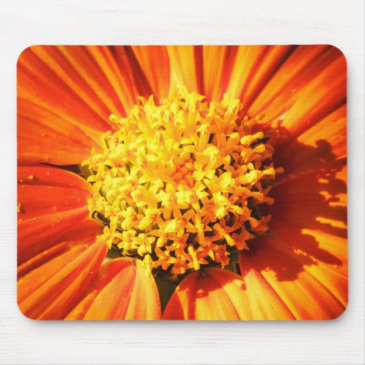 Radiant Orange Flower Macro Mouse Pad Photo Muismat (Voorkant)