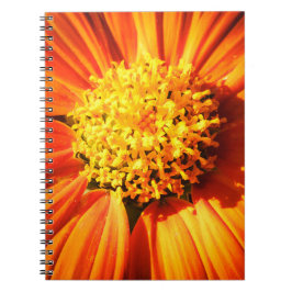 Radiant Orange Flower Macro Notebook Nature Photo Notitieboek