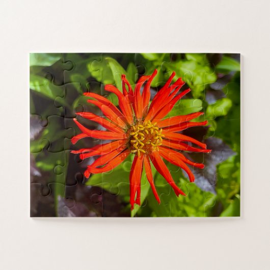 Radiant Orange Zinnia | Floral Tribute to Alzheime Legpuzzel (Horizontaal)