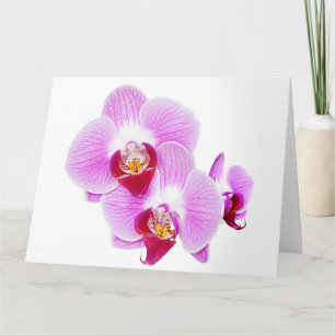Radiant Orchid Close-up Floral Photography Kaart