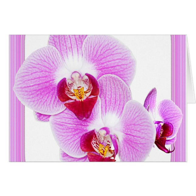 Radiant Orchid Closeup Foto met Square Lijst (Voorkant Horizontaal)