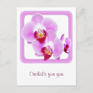 Radiant Orchid Closeup Foto met Square Lijst Briefkaart