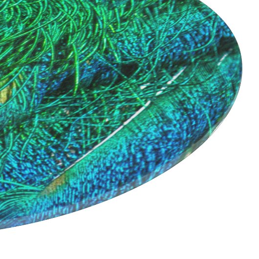 Radiant Peacock Feathers Fotoontwerp Snijplank (Hoek)