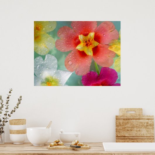 Radiant Primrose Poster (Keuken)