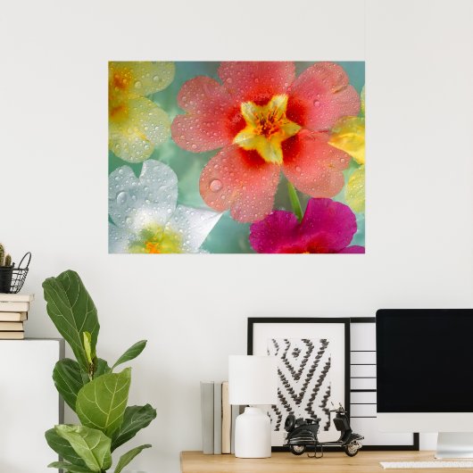 Radiant Primrose Poster (Thuiskantoor)