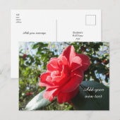 Radiant Red Camellia - gepersonaliseerd Briefkaart (Voorkant / Achterkant)