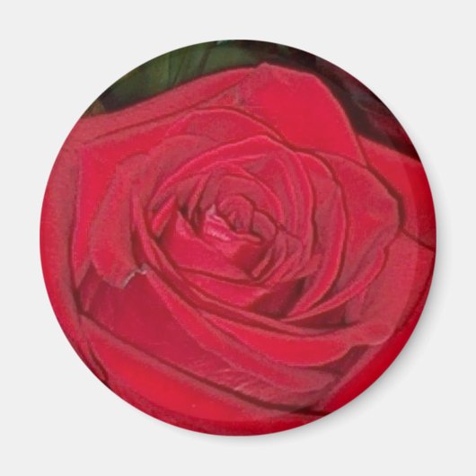 Radiant Red Rose Magnet (Voorkant)