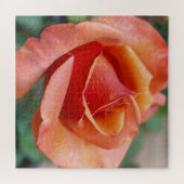 Radiant Rose – Petals in Harmony Legpuzzel (Horizontaal)