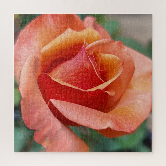Radiant Rose – Petals in Harmony Legpuzzel (Verticaal)