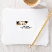 Radiant Royalty-vrije uitrusting: Diva-ish Delight Etiket (Insitu)