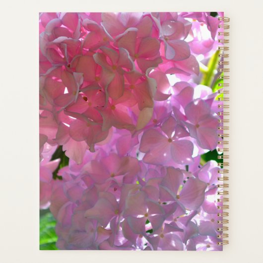 Radiant Roze hydrangeas, roze bloemen bloemen Planner (Achterkant)