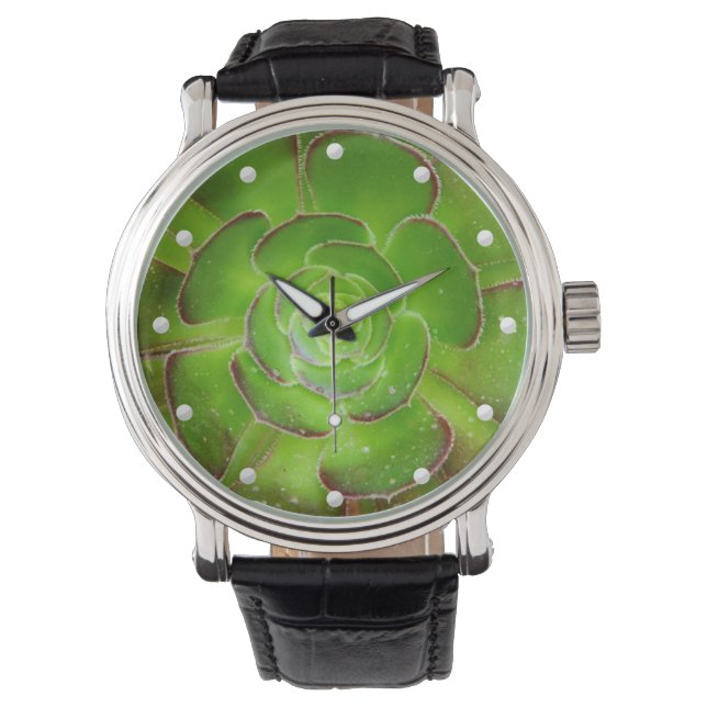 Radiant succulent geweldig afbeelding dat groen gl horloge (Voorkant)