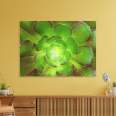 Radiante groene, succulente plant macrofotografie canvas afdruk (Insitu (Woonkamer))