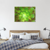 Radiante groene, succulente plant macrofotografie canvas afdruk (Insitu (Slaapkamer))
