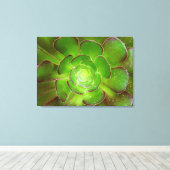 Radiante groene, succulente plant macrofotografie canvas afdruk (Insitu (Houten vloer))