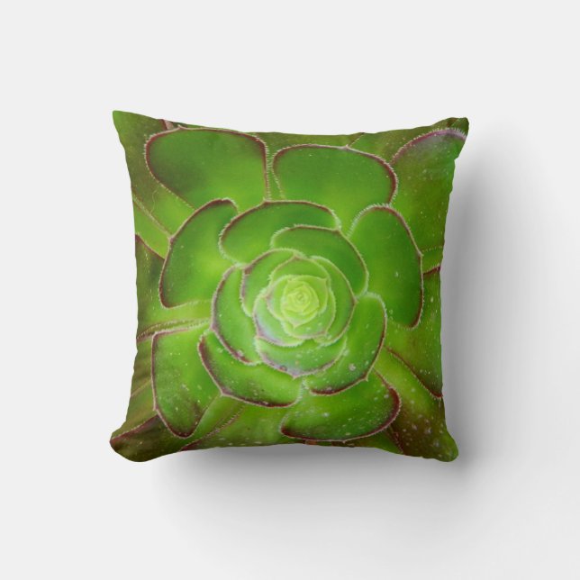 Radiante groene, succulente plant macrofotografie kussen (Voorkant)