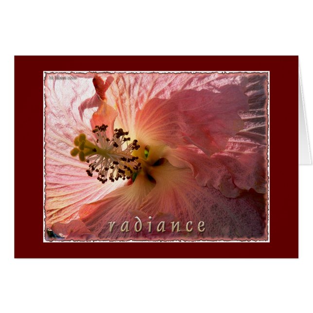 Radiantie (Voorkant Horizontaal)