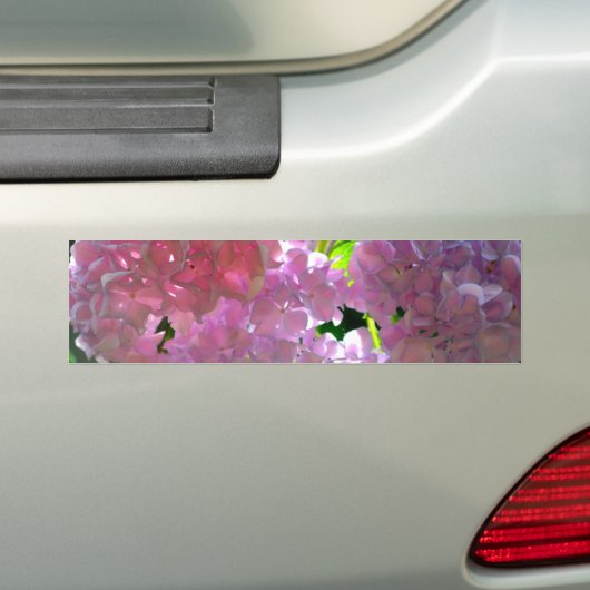 Radiantroze hydrangeas bumpersticker (Op auto)