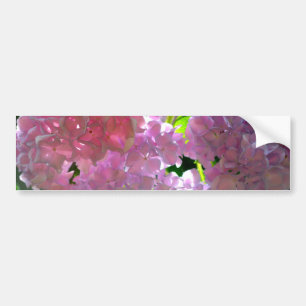 Radiantroze hydrangeas bumpersticker
