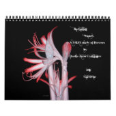 Radiating Beauty (een röntgenonderzoek van Flowers Kalender (Hoes)