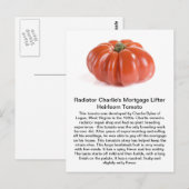 Radiator Charlie - Mortgage Lifter Heirloom Tomato Briefkaart (Voorkant / Achterkant)