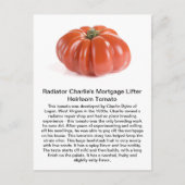 Radiator Charlie - Mortgage Lifter Heirloom Tomato Briefkaart (Voorkant)