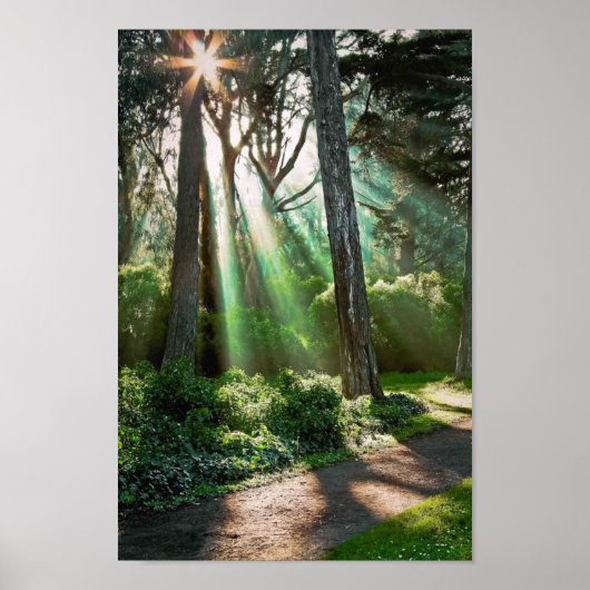 Radiator Poster (Voorkant)