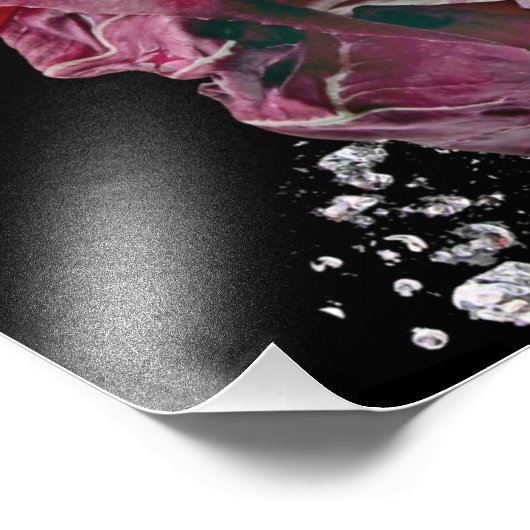 Radicchio... Foto Afdruk (Hoek)