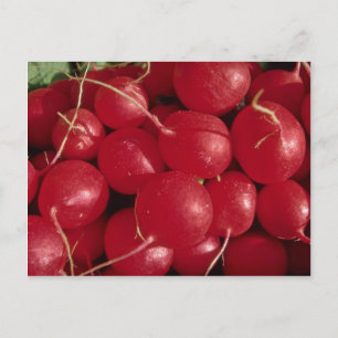 Radijs Foto Briefkaart