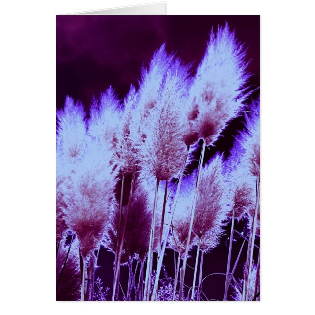 Radio-actief (Voorkant)