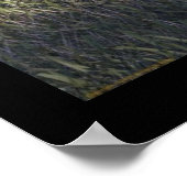 Radio Graves Poster (Hoek)