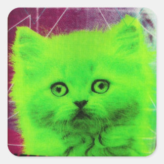 radioactieve kat vierkante sticker