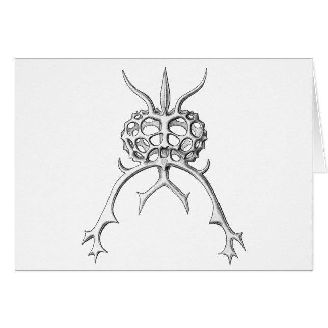 Radiolaria (Voorkant Horizontaal)