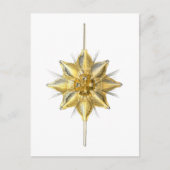 Radiolarian Briefkaart (Voorkant)