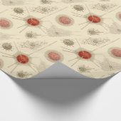 Radiolarian van Ernst Haeckel Cadeaupapier (Hoek)