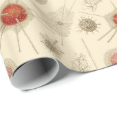 Radiolarian van Ernst Haeckel Cadeaupapier (Rol Hoek)