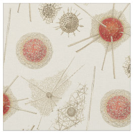 Radiolarian van Ernst Haeckel Stof