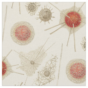 Radiolarian van Ernst Haeckel Stof