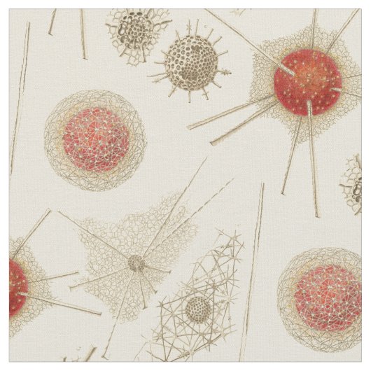 Radiolarian van Ernst Haeckel Stof (Close Up)