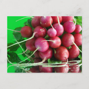 Radish Briefkaart