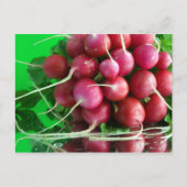 Radish Briefkaart (Voorkant)