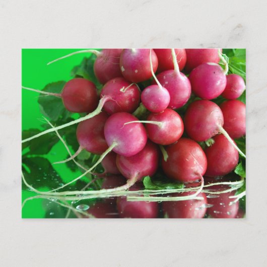 Radish Briefkaart (Voorkant)