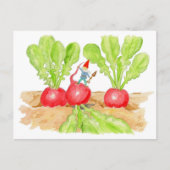 Radish Garden Gnome briefkaart (Voorkant)