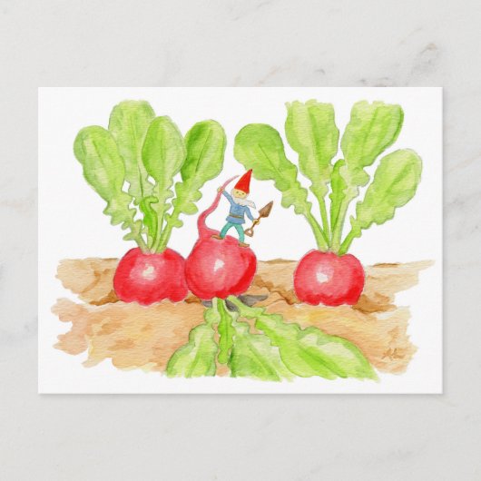 Radish Garden Gnome briefkaart (Voorkant)