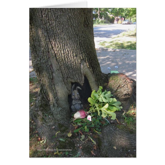 Radish Gifting (Voorkant)