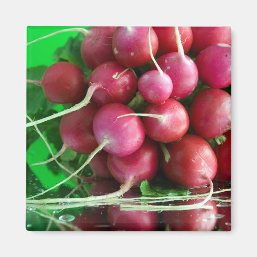 Radish Magneet (Voorkant)